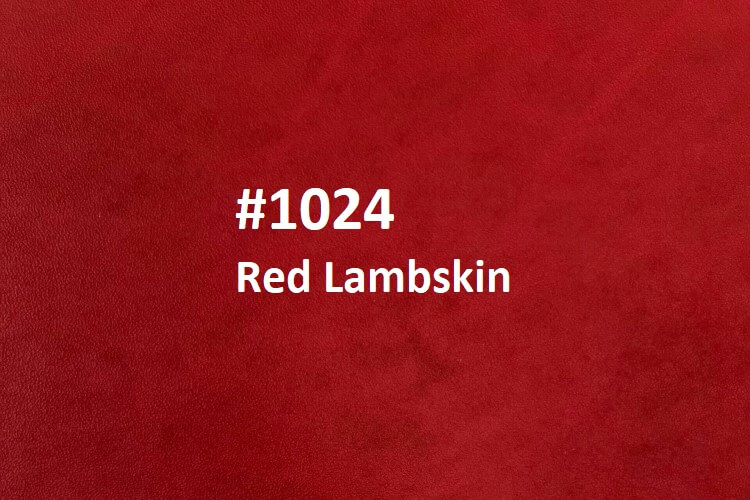 Lambskin Leather Special - Image 5